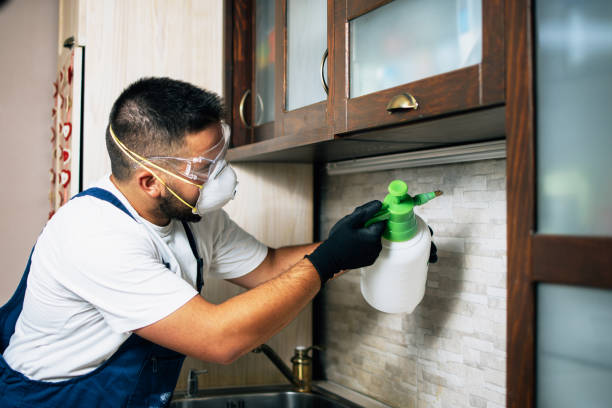 Best Emergency Pest Control  in Sultana, CA