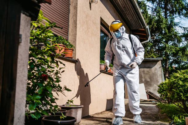 Best Exterminator Services  in Sultana, CA