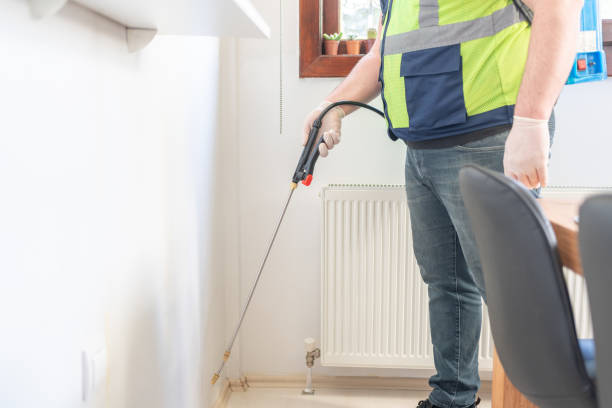Best Termite Control Services  in Sultana, CA