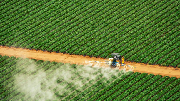 Best Commercial Pest Control Services  in Sultana, CA